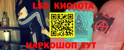 стаф Дубна