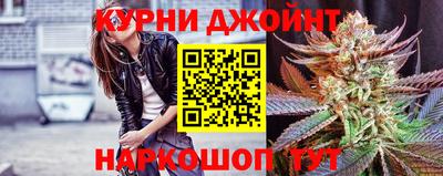 стаф Дубна