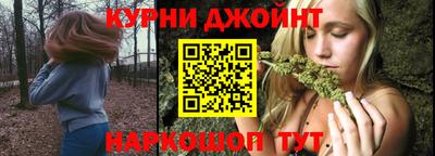 стаф Дубна