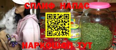 стаф Дубна